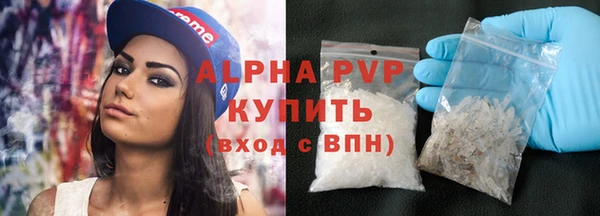 гидра Богданович