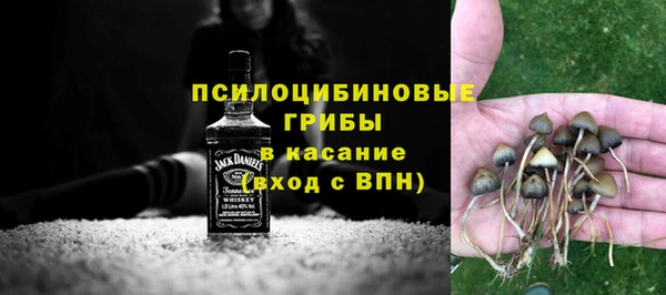 гидра Богданович