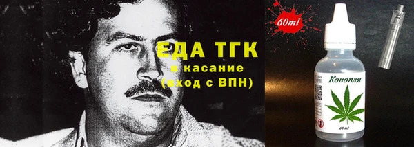 стаф Касимов