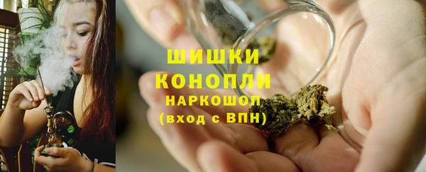 гидра Богданович