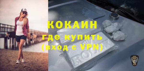 гидра Богданович