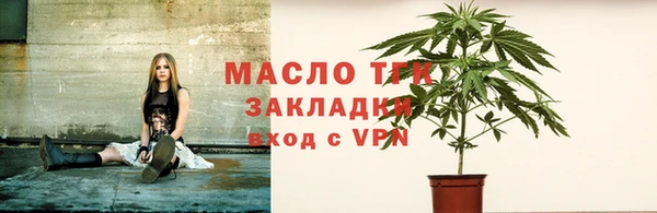 гидра Богданович
