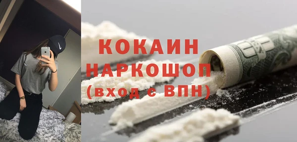 гидра Богданович