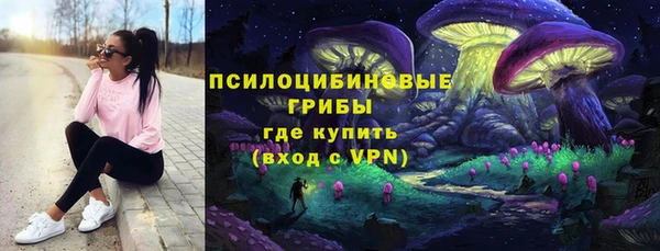 mdpv Богородицк
