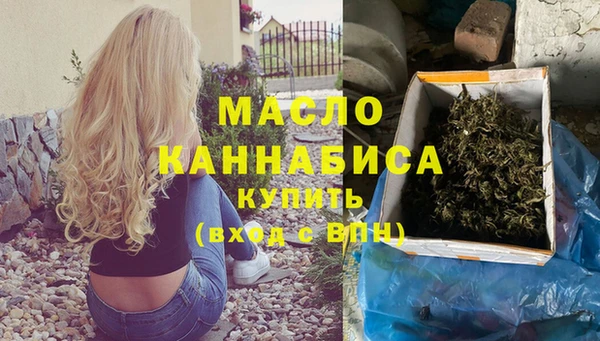 гидра Богданович