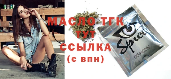 гидра Богданович