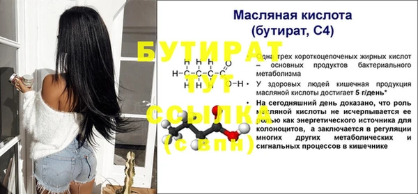 гидра Богданович