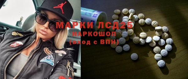 гидра Богданович