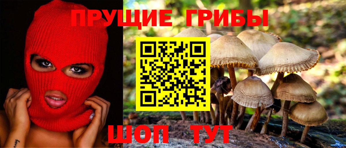 Псилоцибиновые грибы Psilocybine cubensis  Вход с VPN  Среднеуральск  Галлюциногенные грибы ЛСД 